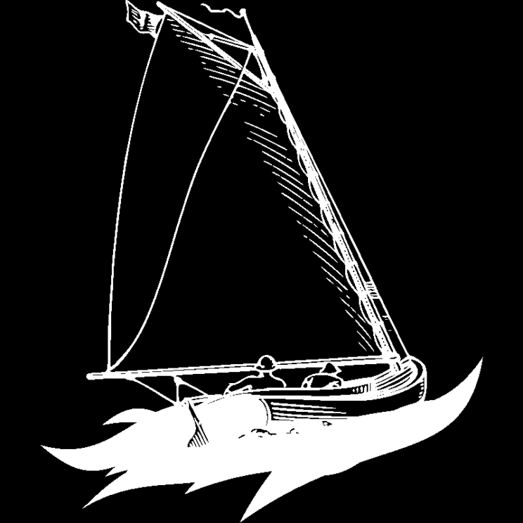 Boat in waves illustration